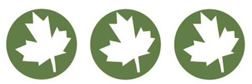 Dauphin Regional Health Centre 3 Green Globes logo